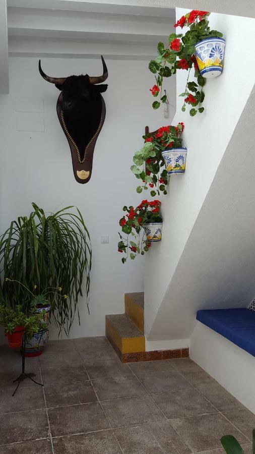 Casa Ricardo " Le Gite " Arcos de la Frontera Luaran gambar